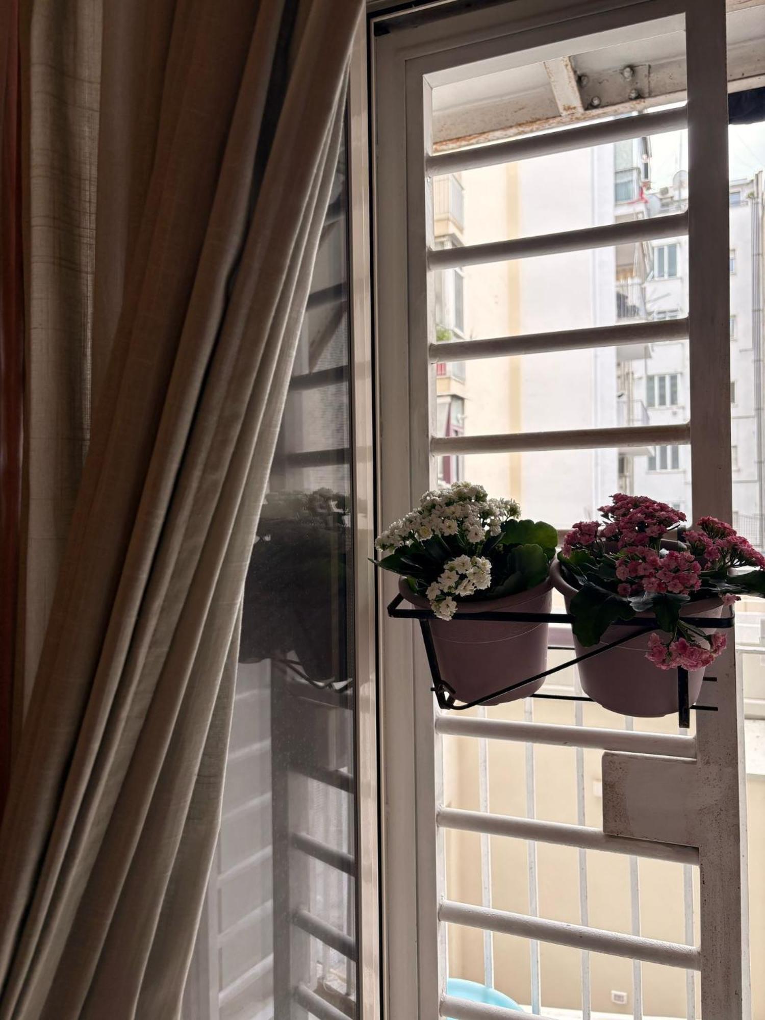 בארי Casa Di Gianna Guest House מראה חיצוני תמונה